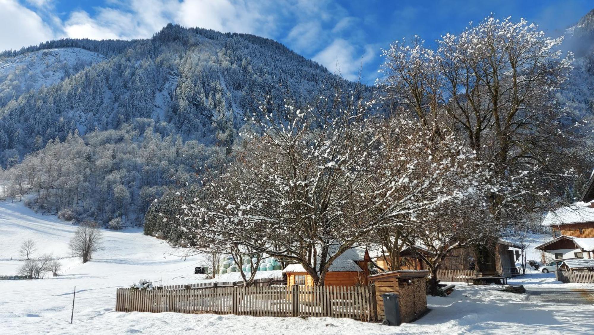 Hirzbachgut Villa Fusch an der Grossglocknerstrasse Dış mekan fotoğraf